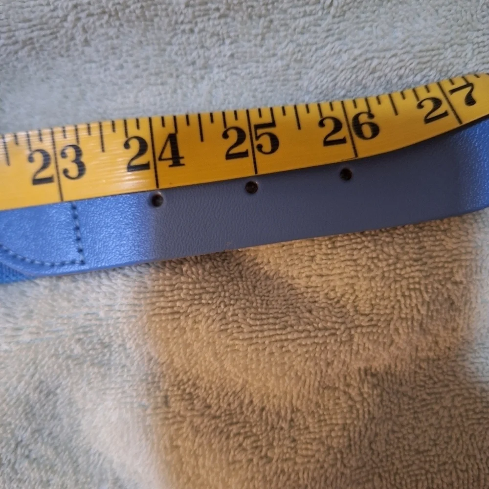 Champro light blue